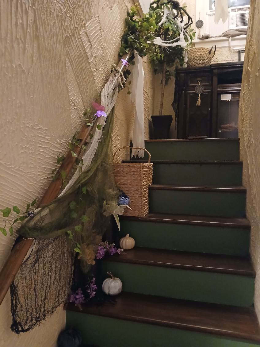 Carnival party display with themed details